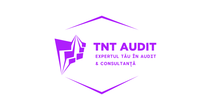 TNTAUDIT